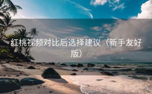 红桃视频对比后选择建议（新手友好版）