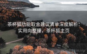 茶杯狐功能取舍建议清单深度解析：实用向整理，茶杯狐主页