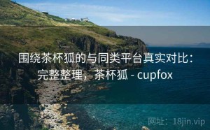 围绕茶杯狐的与同类平台真实对比：完整整理，茶杯狐 - cupfox