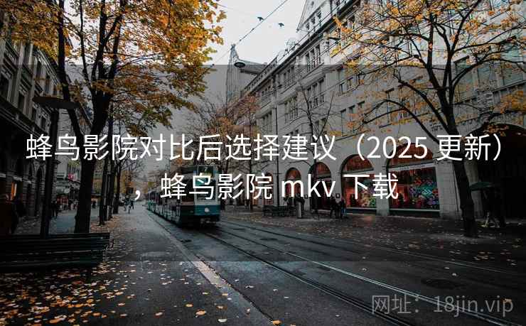 蜂鸟影院对比后选择建议（2025 更新），蜂鸟影院 mkv 下载