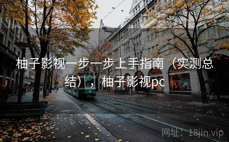 柚子影视一步一步上手指南（实测总结），柚子影视pc